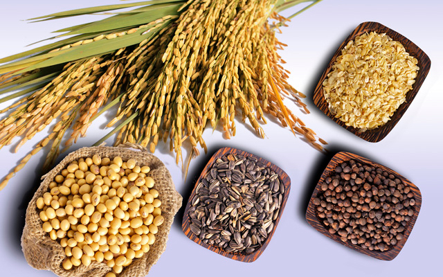Lúa mạch và ngũ cốc khác Điểm danh 9 loại thực phẩm giàu chất xơ hòa tan