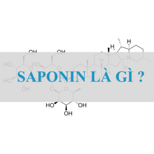 Saponin trong yến mạch có lợi ích gì Saponin trong yến mạch có lợi ích gì ?